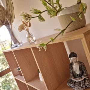 Espacio terapéutico seguro y profesional para terapia de trauma en Santiago